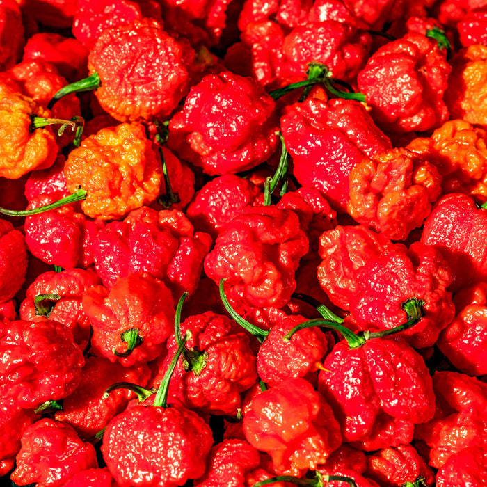 Sowing Reapers