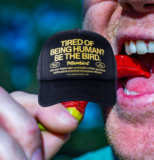 Yellowbird 