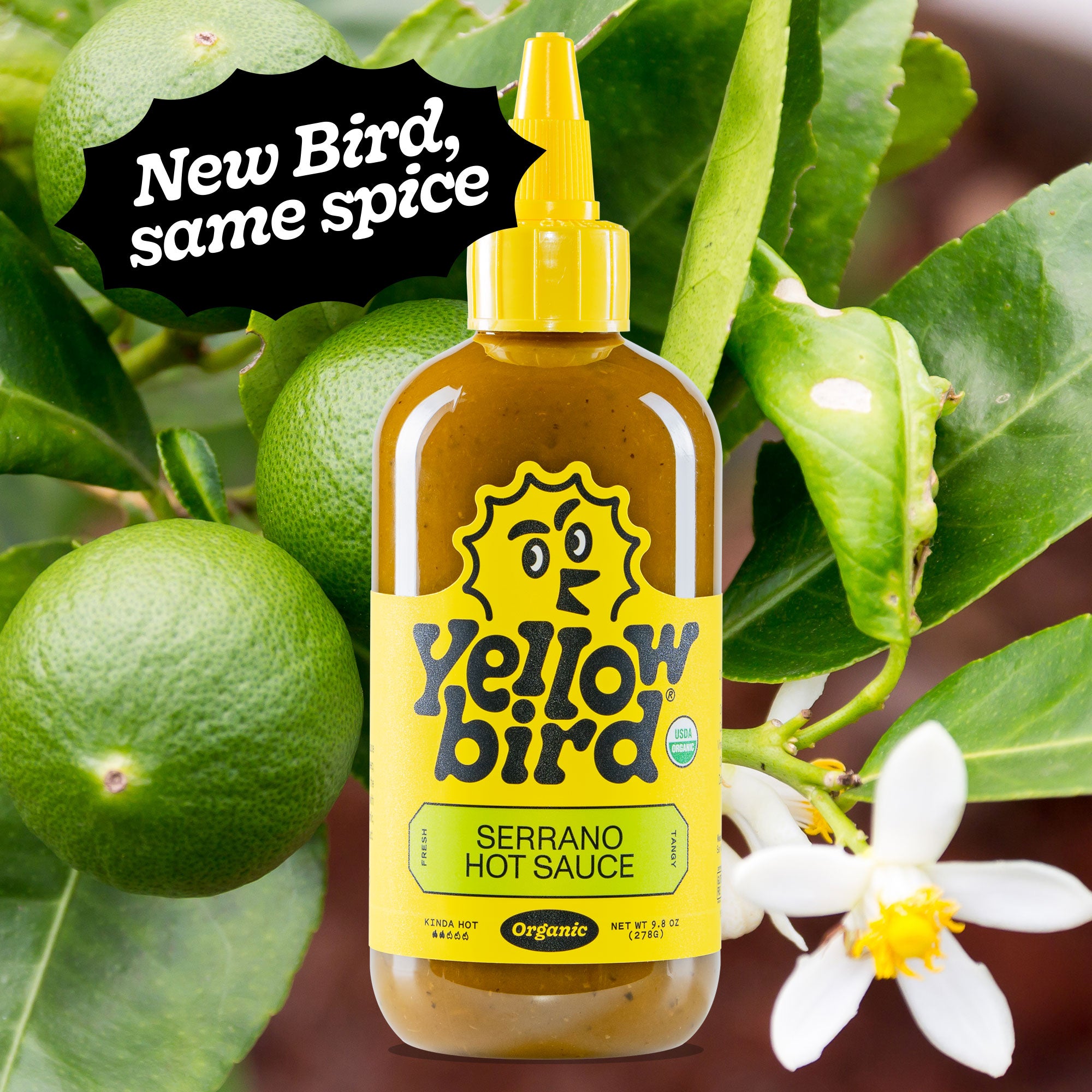 Yellowbird Organic Serrano Hot Sauce 9.8 oz. with ingredients